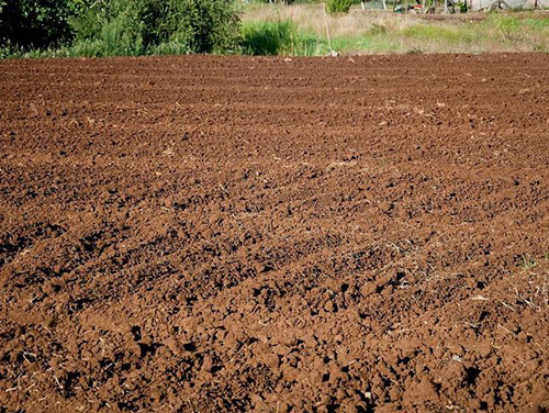 土壤健康是化肥零增長(zhǎng)的動(dòng)力之源！